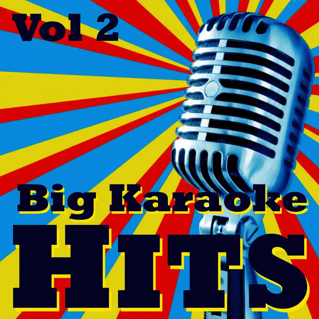 Big Karaoke Hits Vol.2