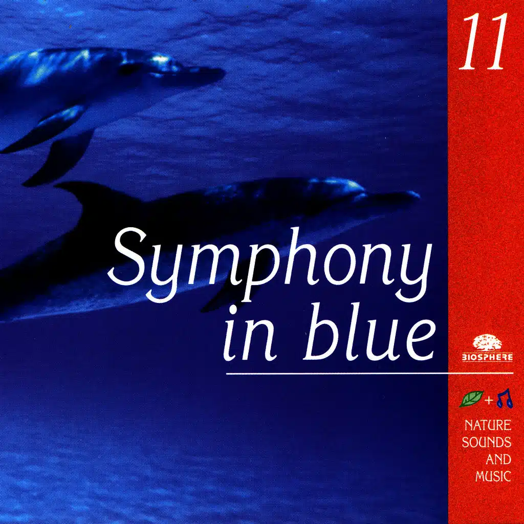 Symphony In Blue (Symphonie En Bleu)
