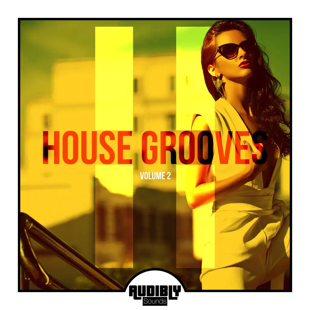 House Grooves, Vol. 2