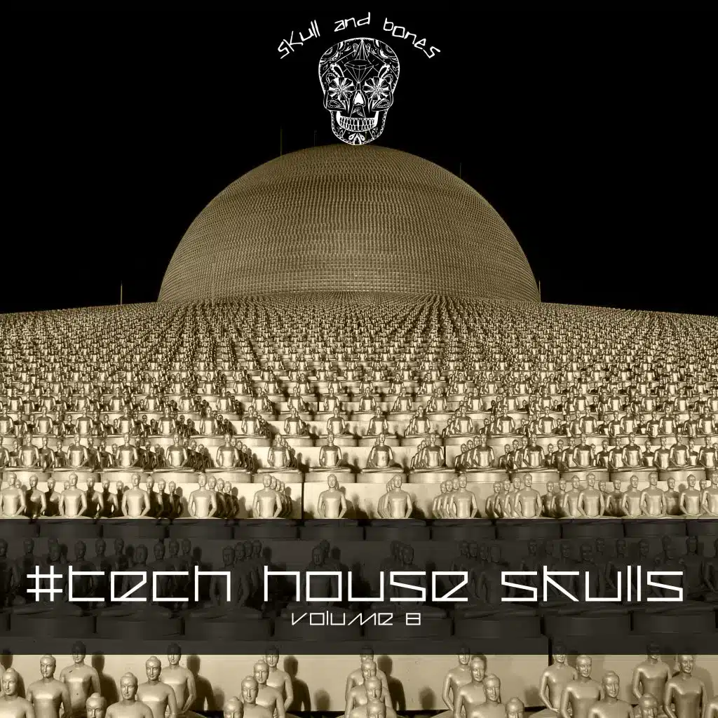 Tech House Skulls, Vol. 8