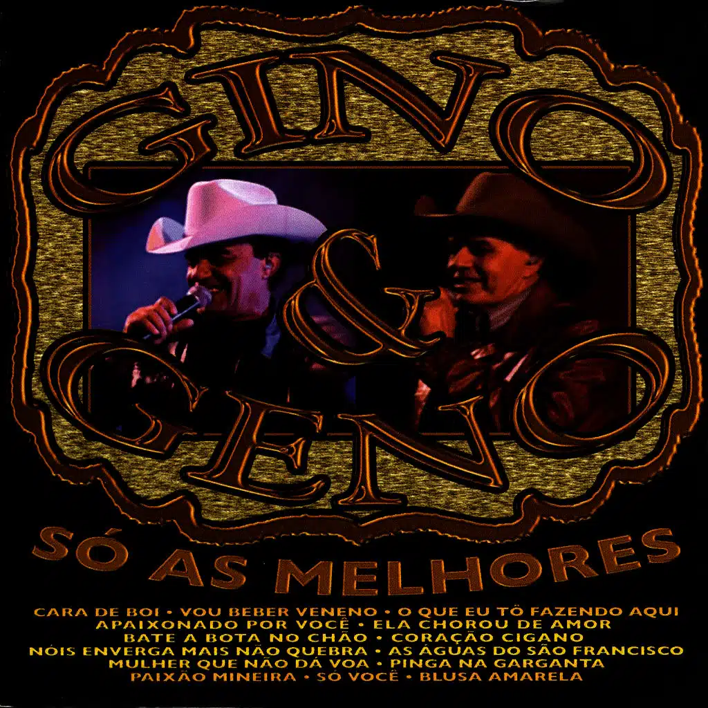 Apaixonado Por Você