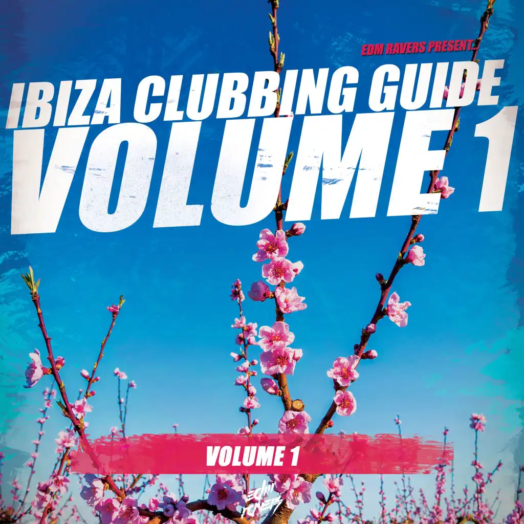 Ibiza Clubbing Guide, Vol. 1