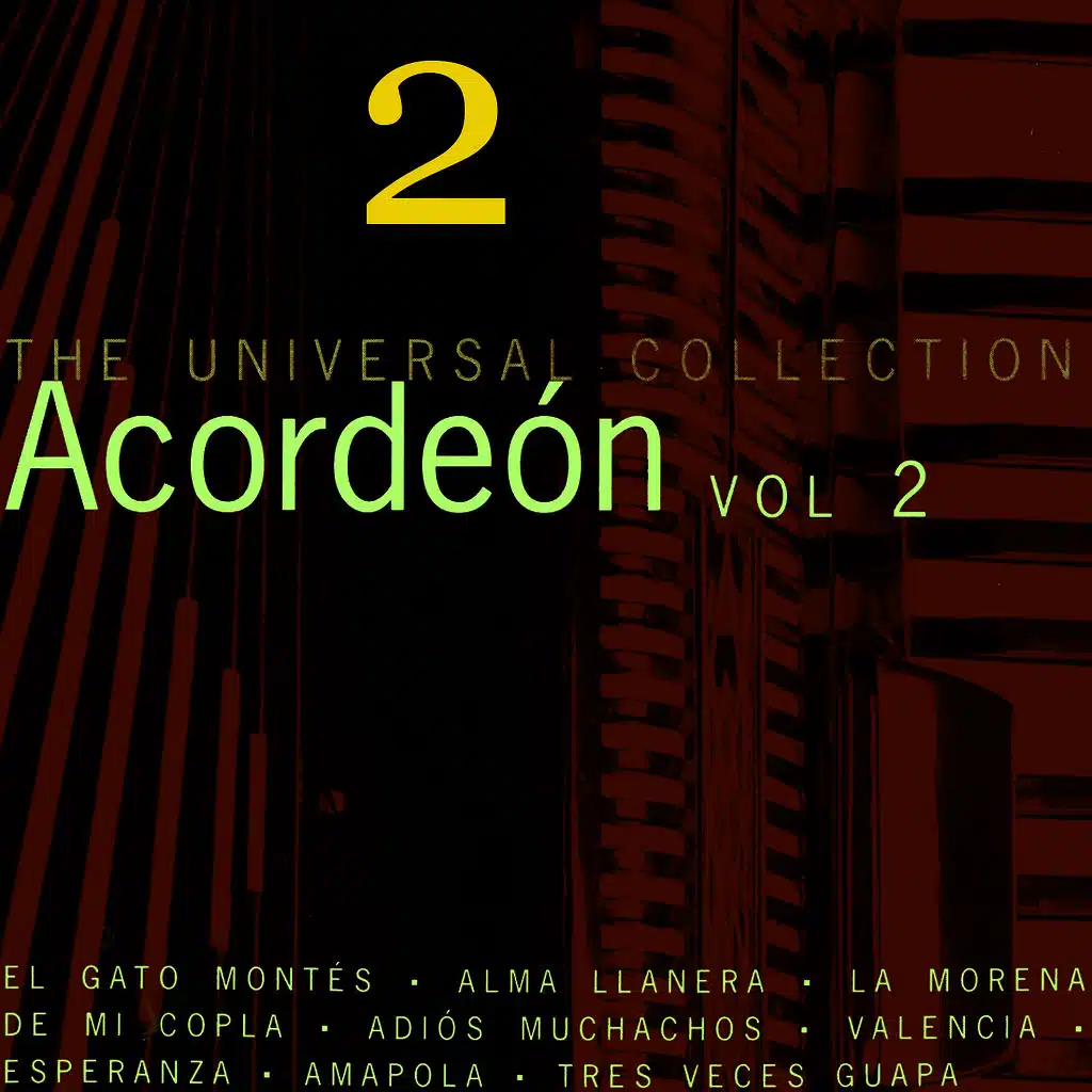 The Accordion Play Greates Hits For Party Vol-2