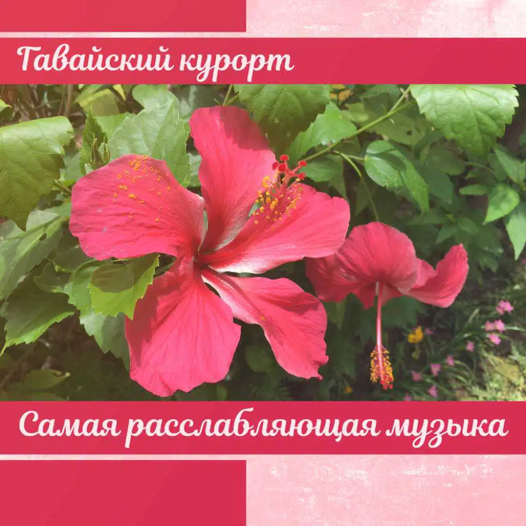 Гавайский курорт