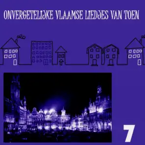 Onvergetelijke Vlaamse Liedjes van Toen, Volume 7