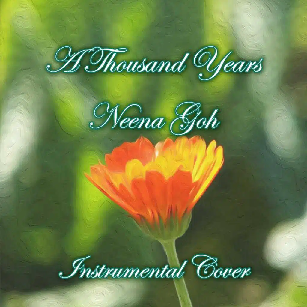 A Thousand Years (Instrumental Cover)
