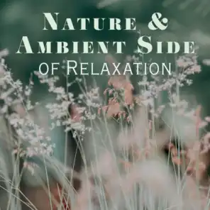 Soothing Sounds, Relaxing Music, Yoga Sounds