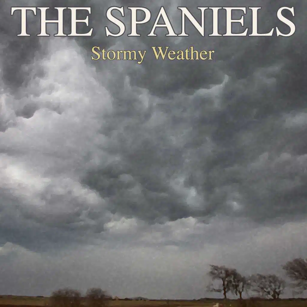 Stormy Weather