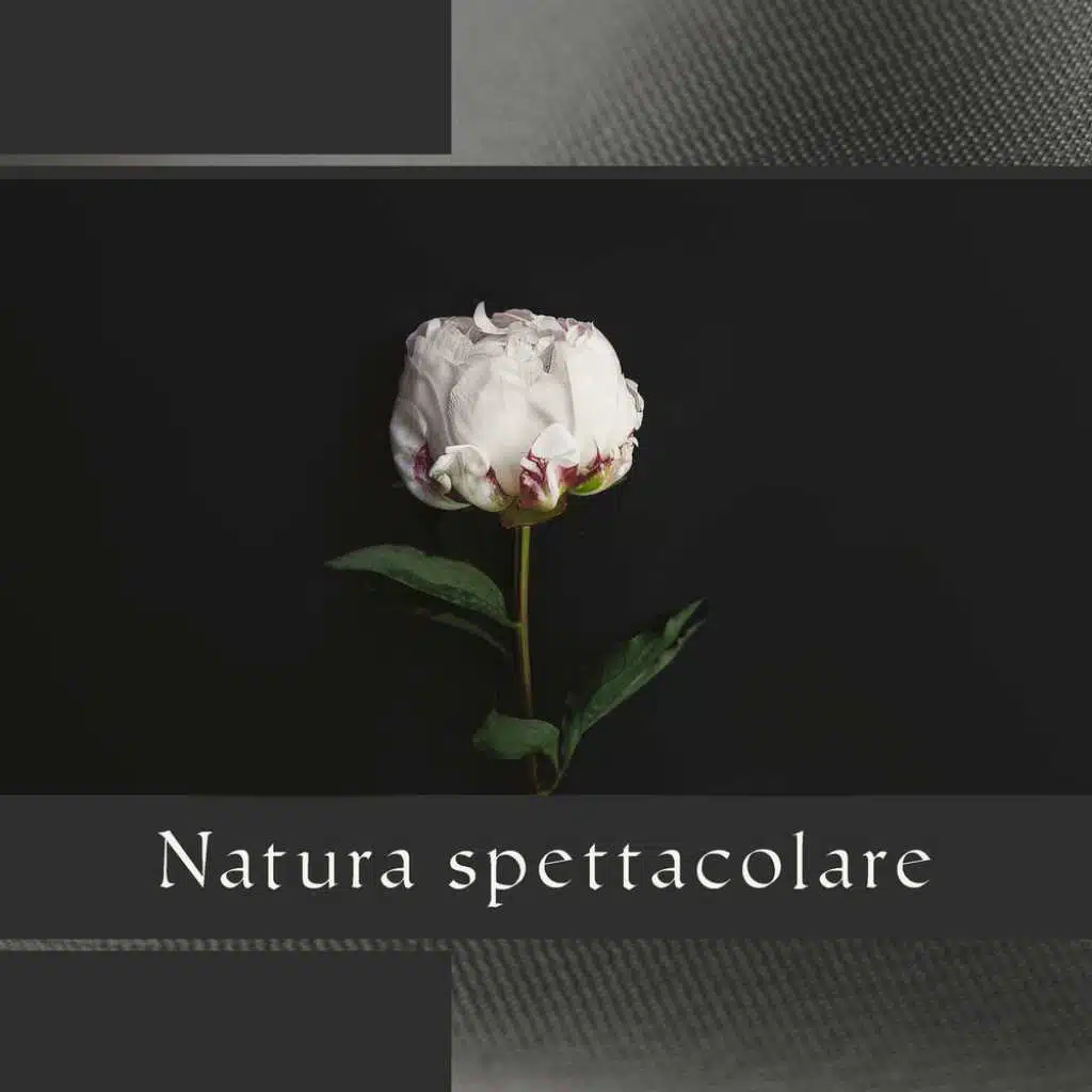 Natura spettacolare