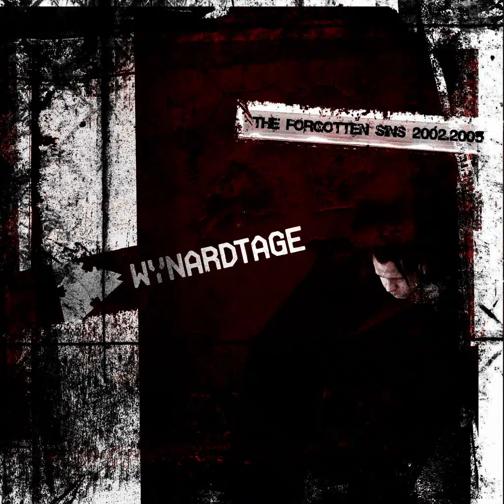 The Forgotten Sins 2002-2005