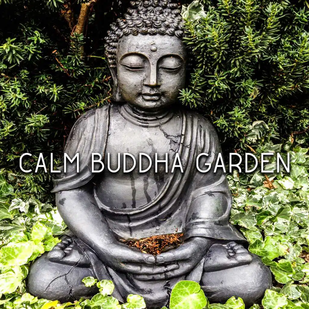 Nature Sounds Learning Academy