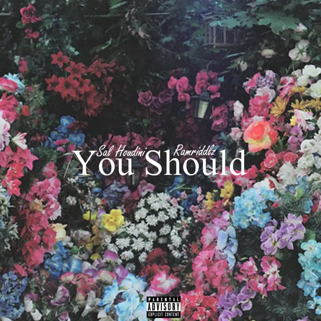You Should (feat. Ramriddlz)