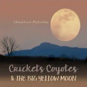 Crickets, Coyotes & the Big Yellow Moon