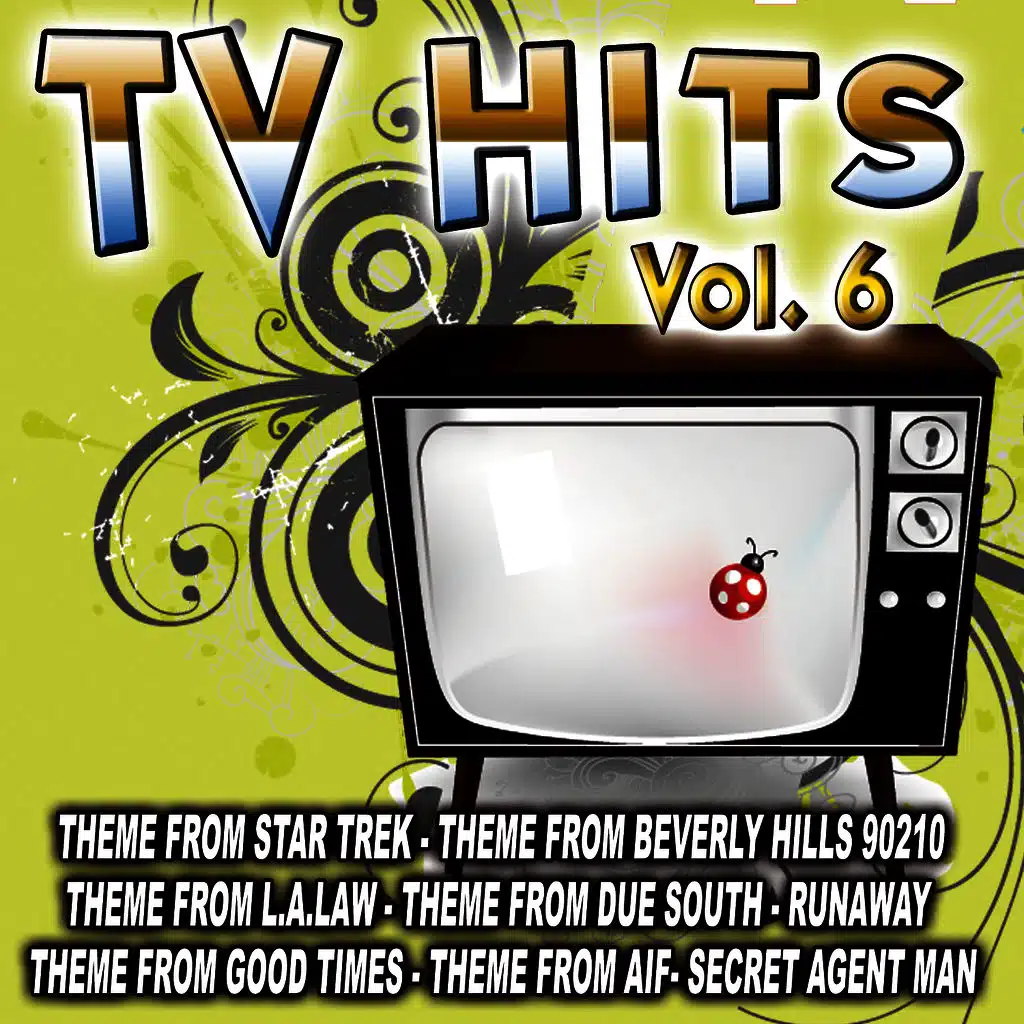TV Hits Vol. 6