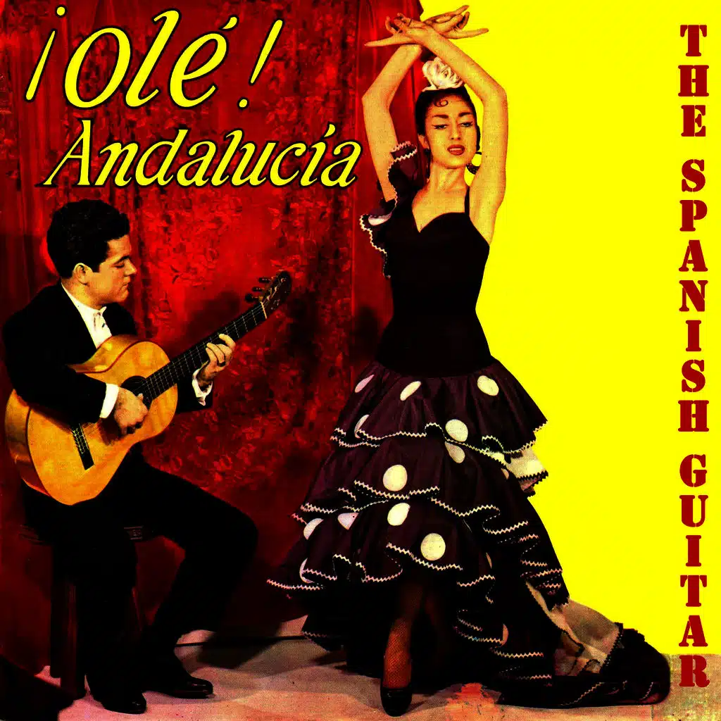 Flamenco School, Olé Andalucía!