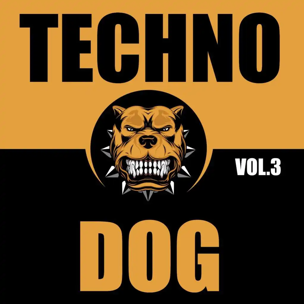 Check This Out (Tech Voice Mix)