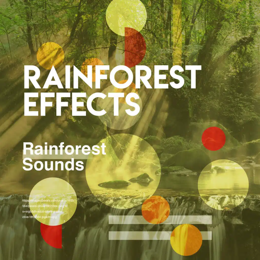 Rainforest Effects by Rainforest Sounds Play on Anghami