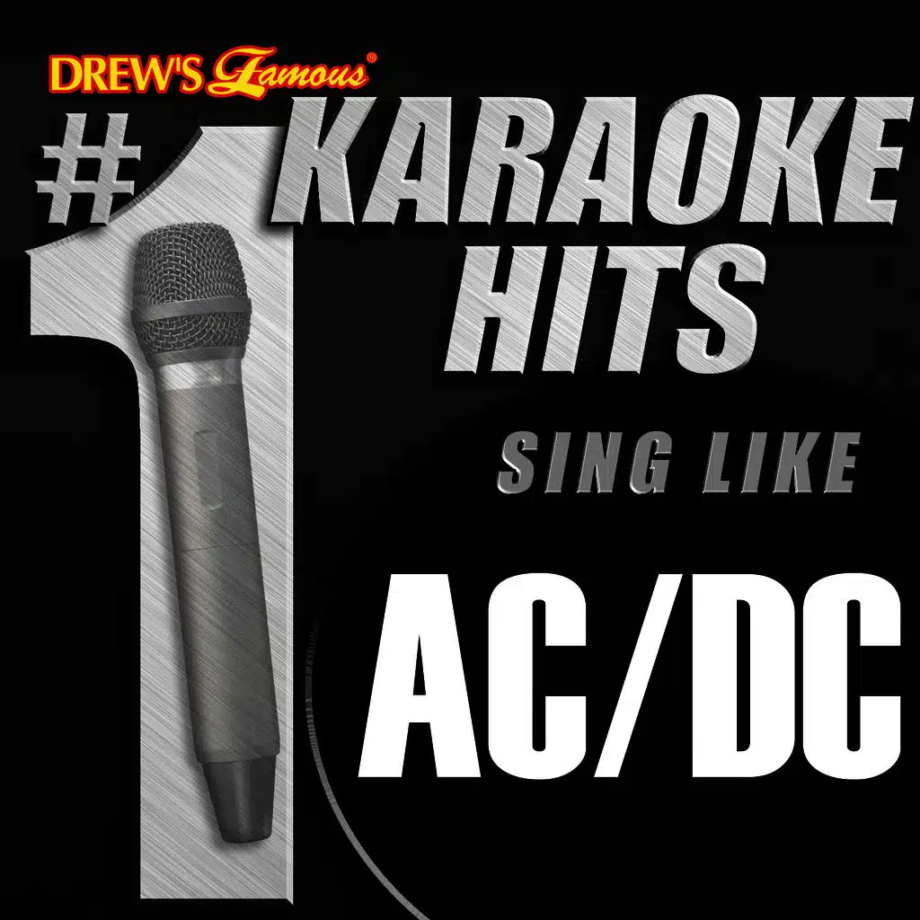 You Shook Me All Night Long (As Made Famous By AC/DC)