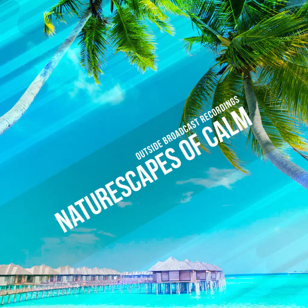 Naturescapes of Calm