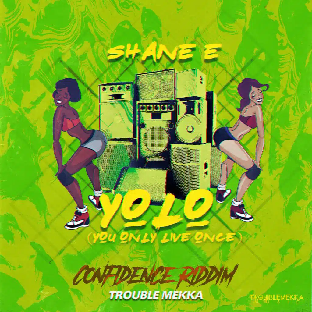 Yolo (You Only Live Once)