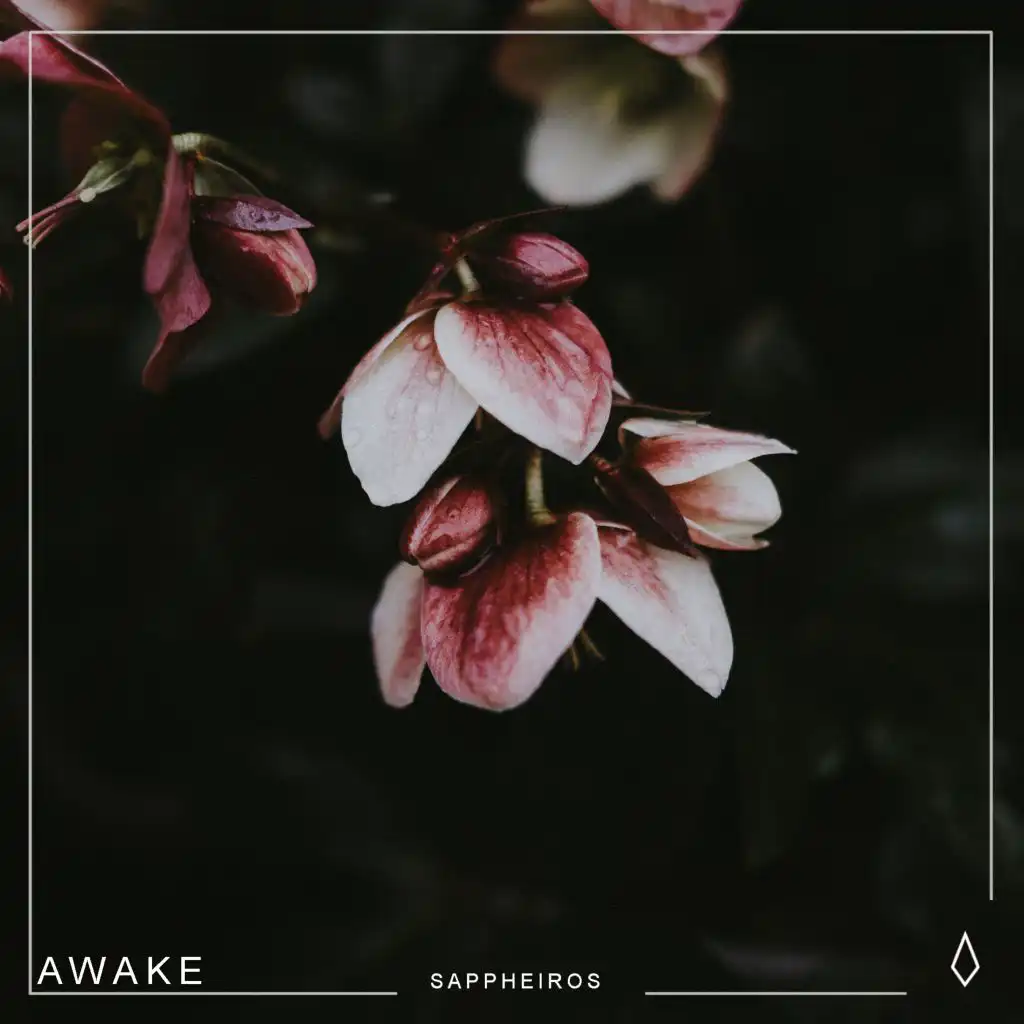 Awake