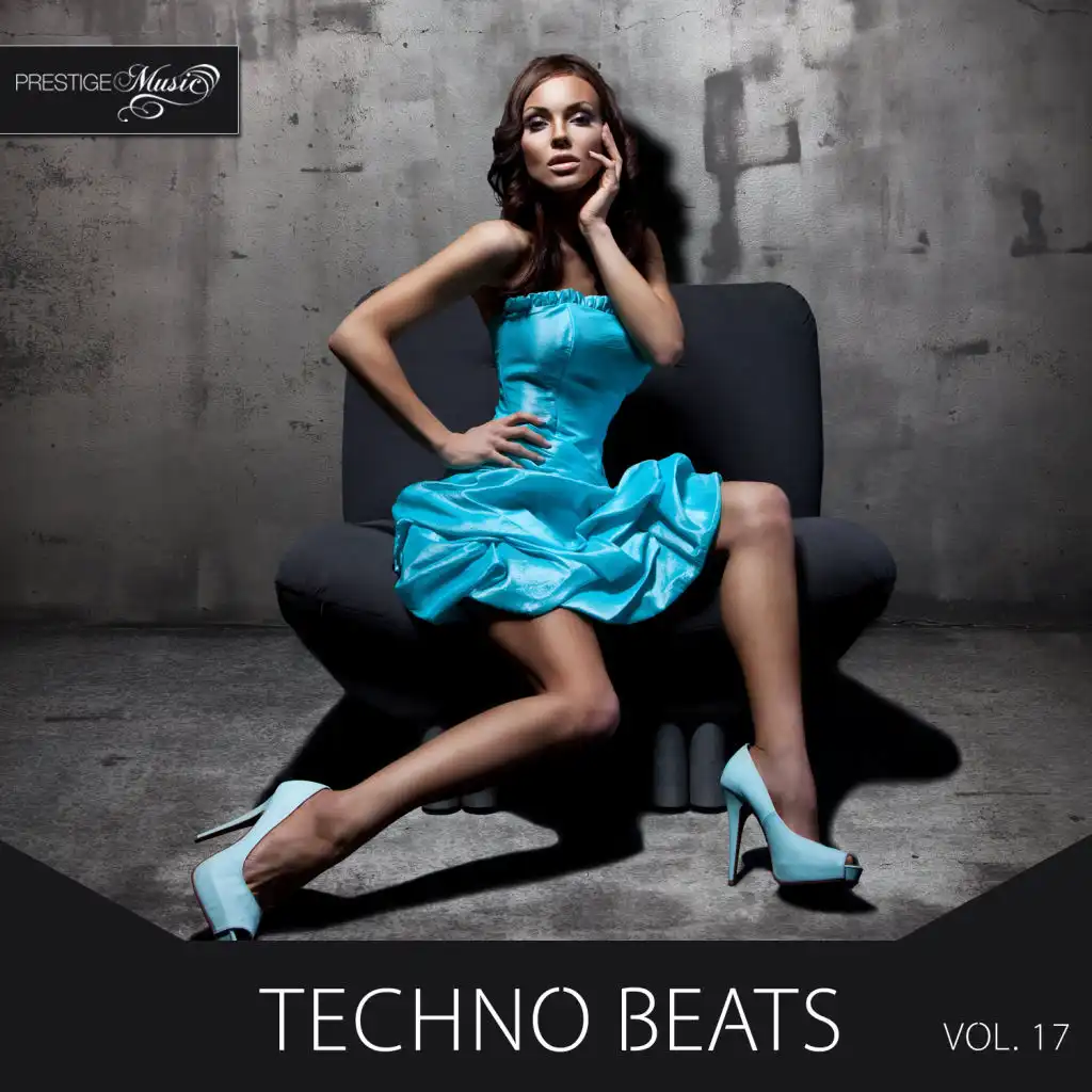 Techno Beats, Vol.17