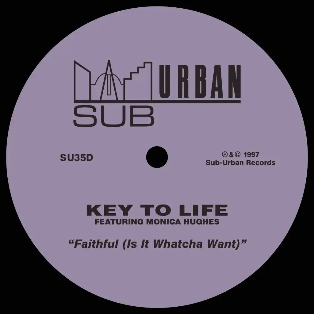 Faithful (Is It Whatcha Want) [feat. Monica Hughes] [Hard Vocal Mix]