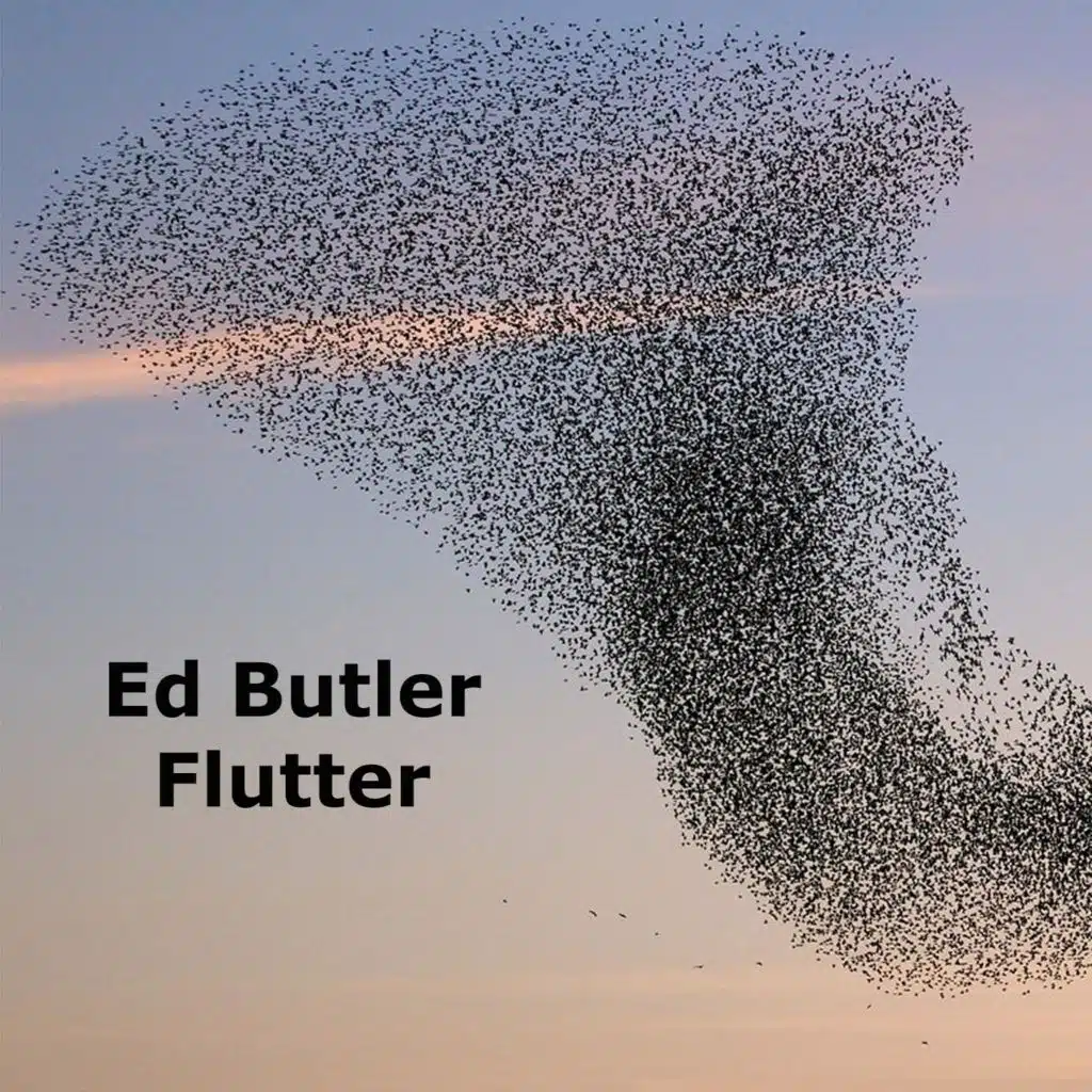 Flutter