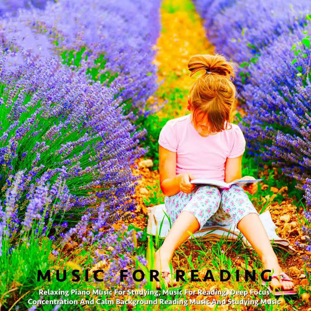 Study Music: Relaxing Piano Music for Studying, Music for Reading, Deep Focus Concentration and Calm Background Reading Music and Studying Music
