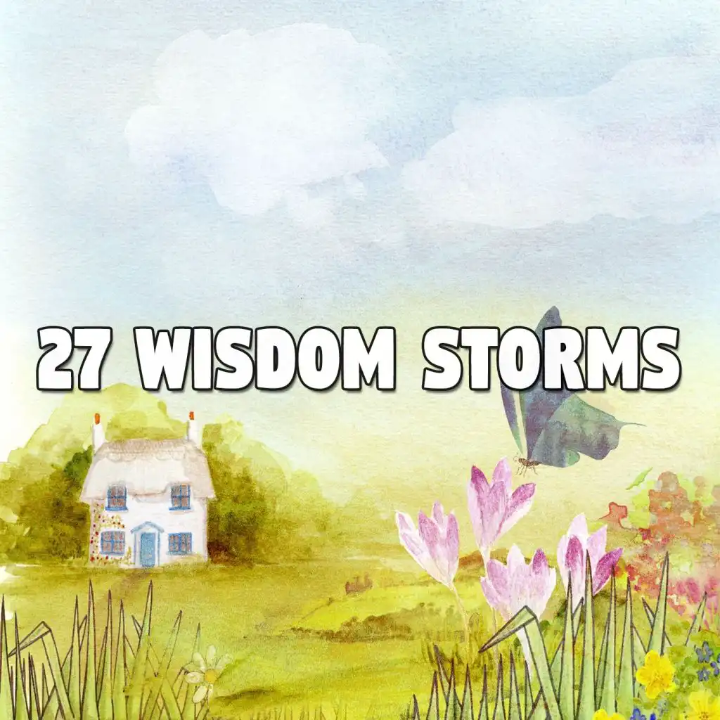 27 Wisdom Storms