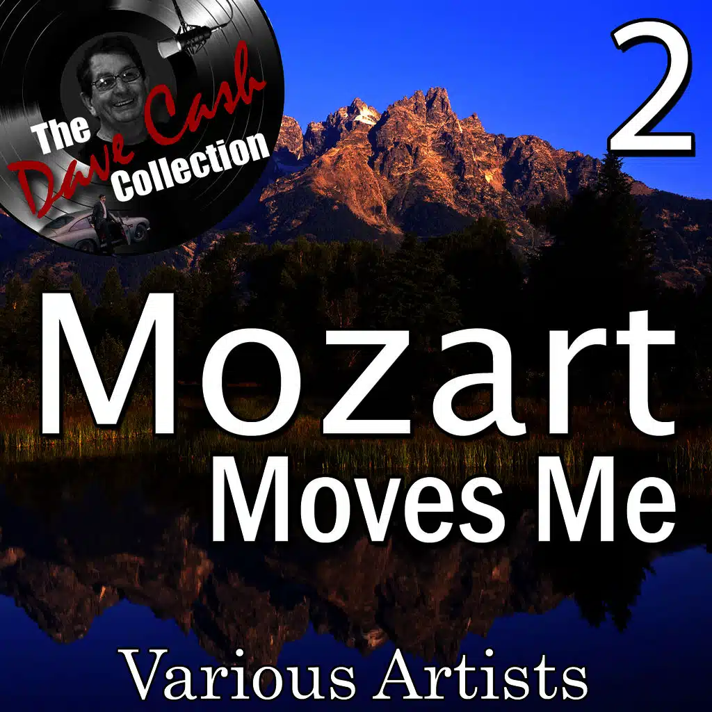 Piano Concerto No. 24 in C minor, K. 491: II. Larghetto