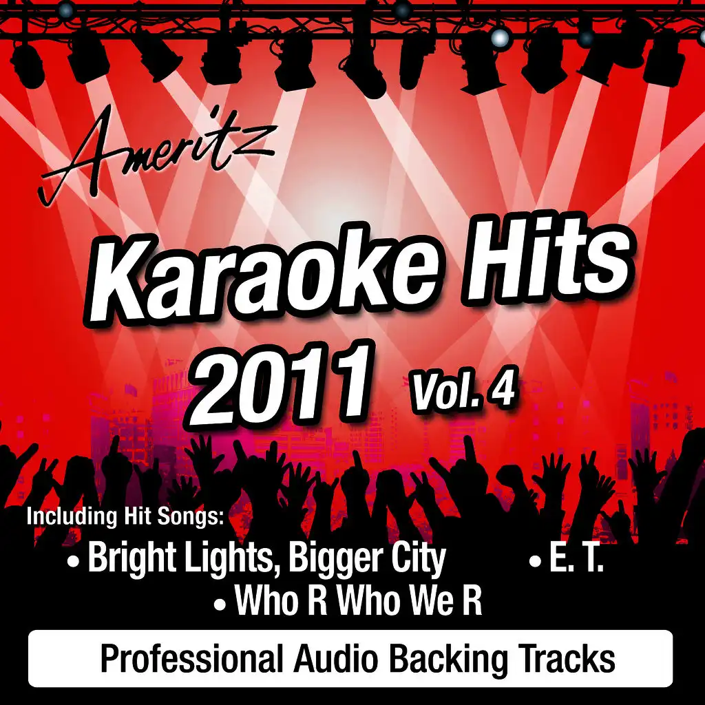 Karaoke Hits 2011 Vol.4