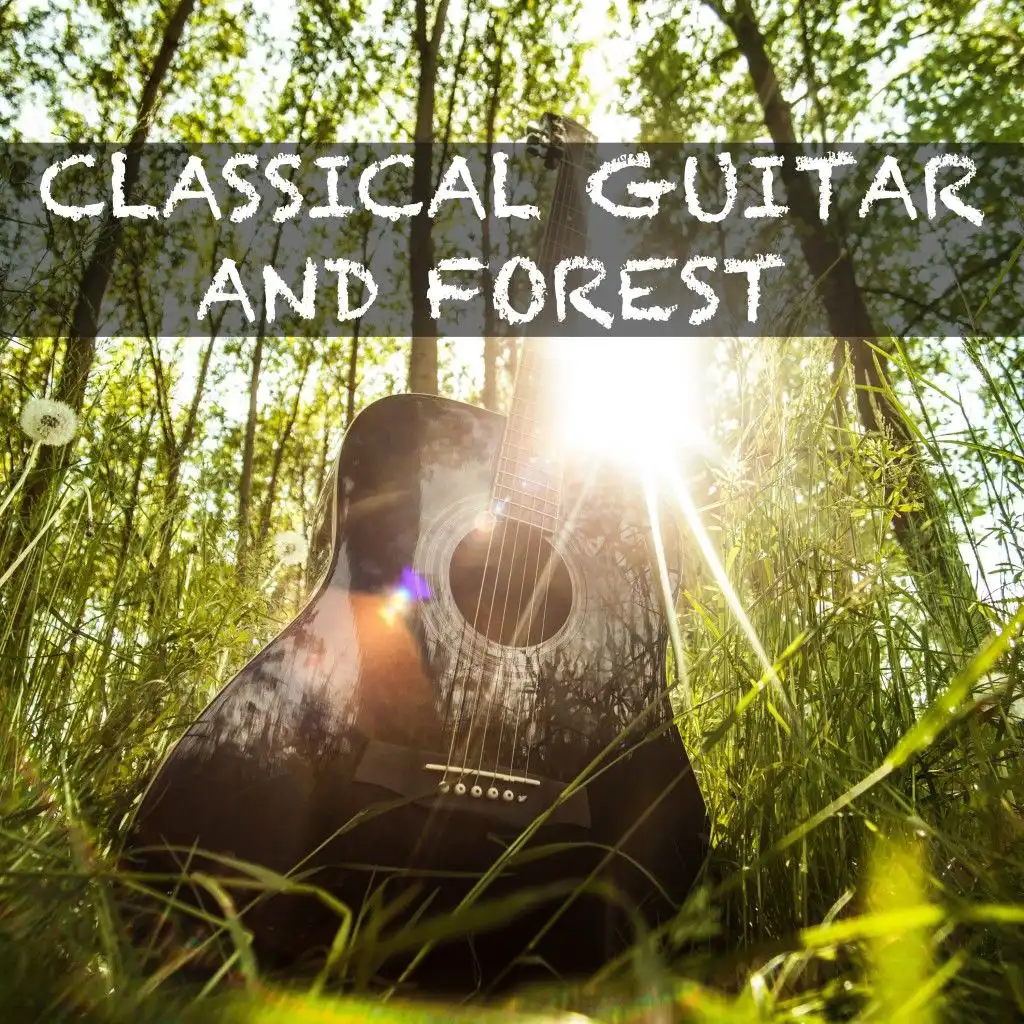 Dream Guitar and Forest #6