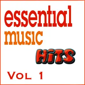 Essential Music Hits Vol 1