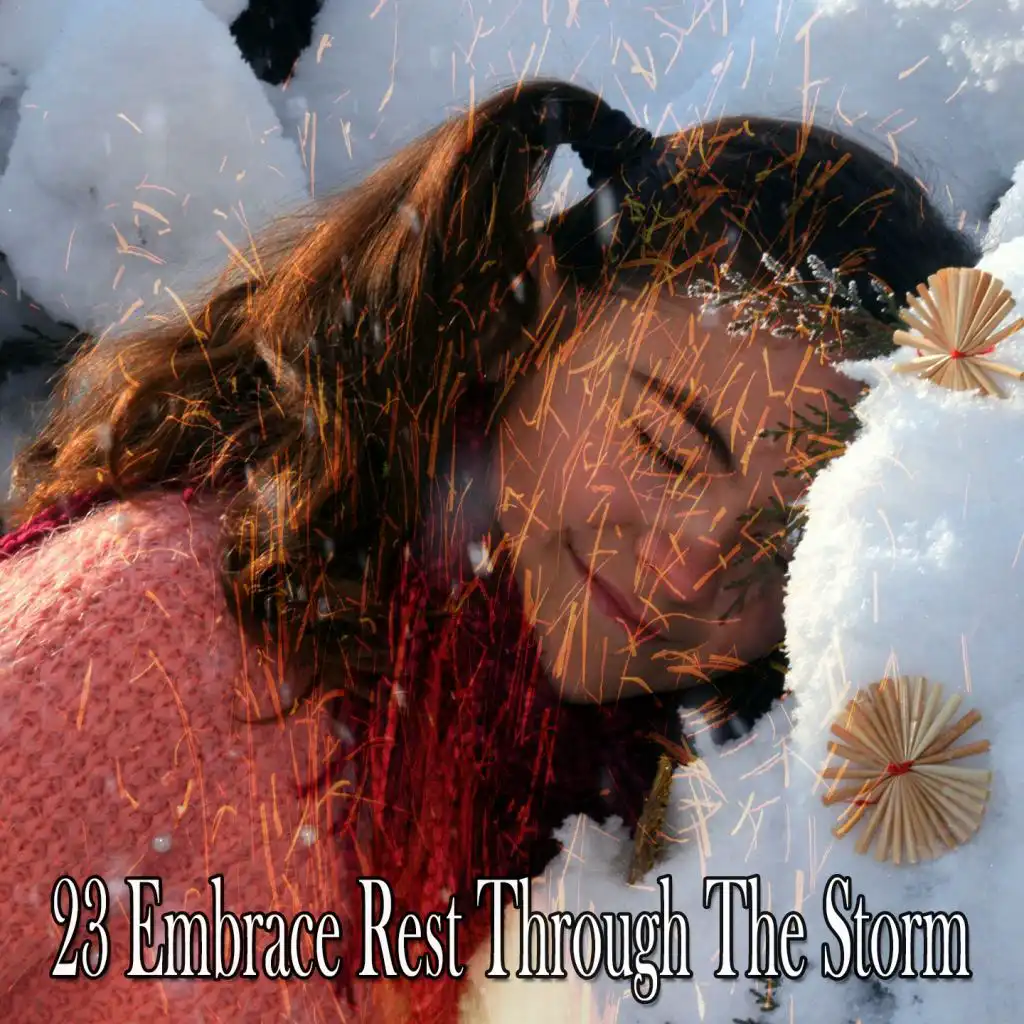 23 Embrace Rest Through the Storm