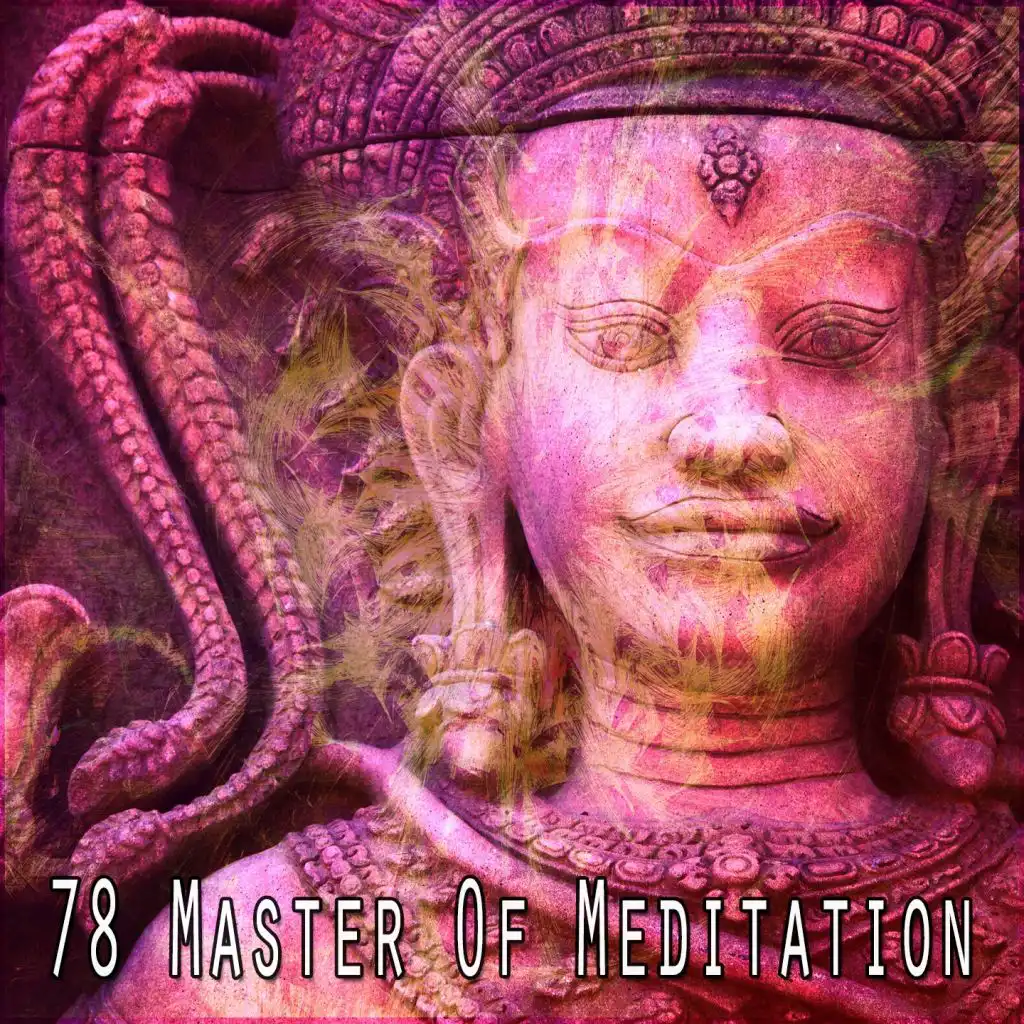 78 Master of Meditation