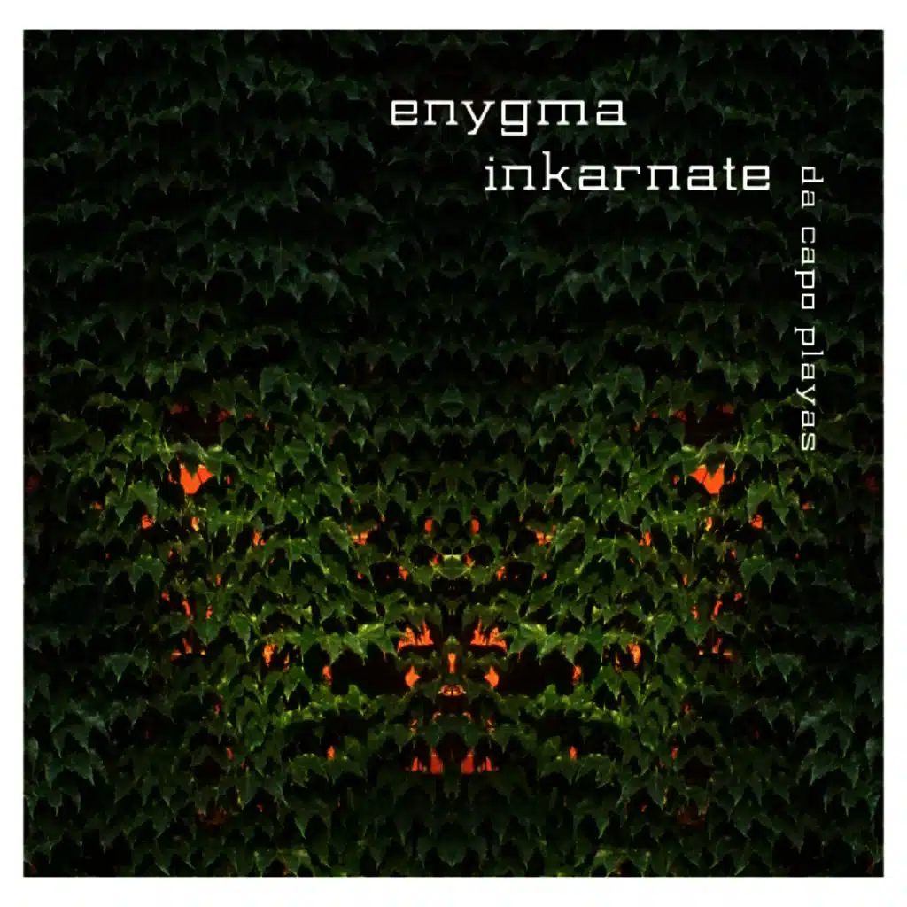 Enygma Inkarnate