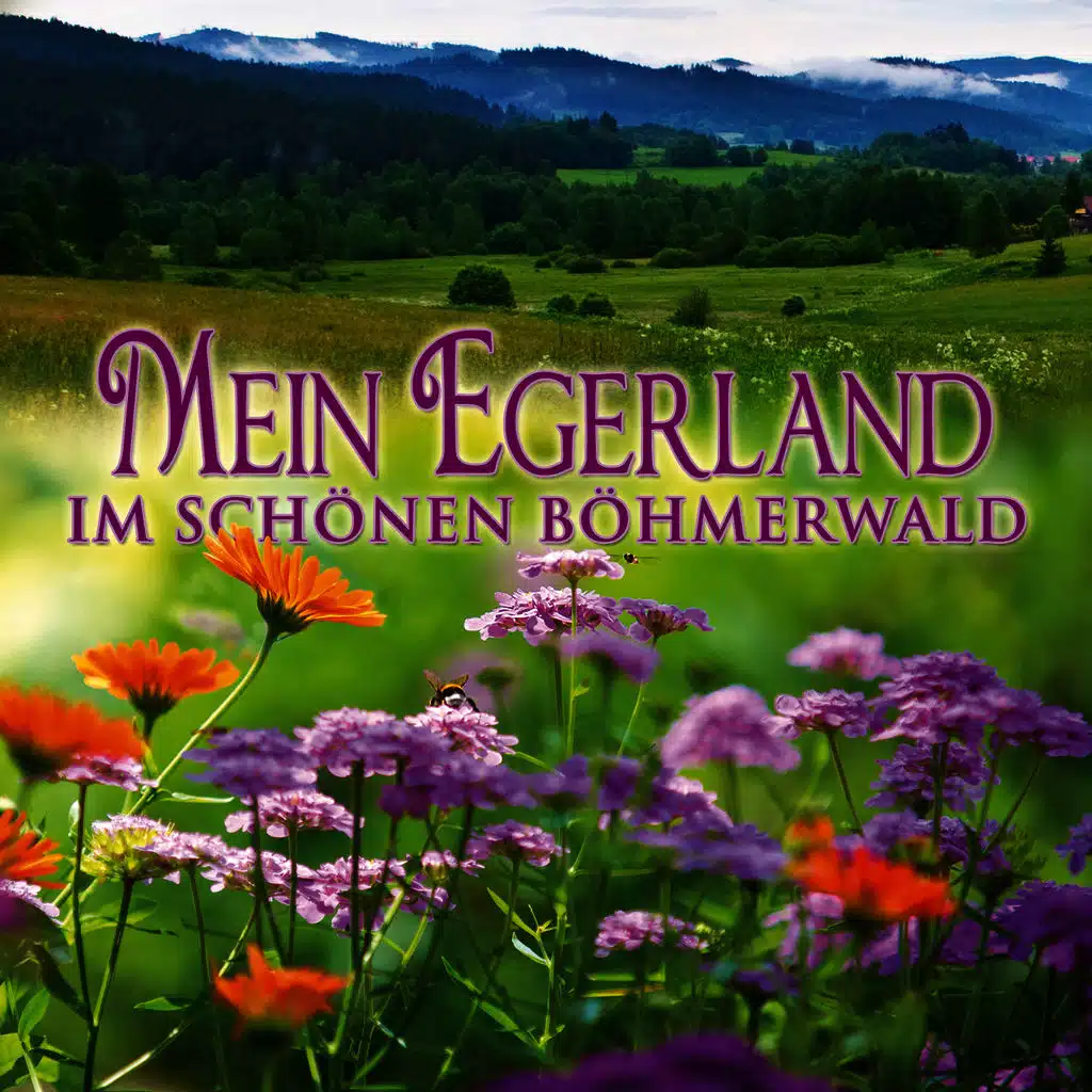 Blasorchester Egerländer Tradition 