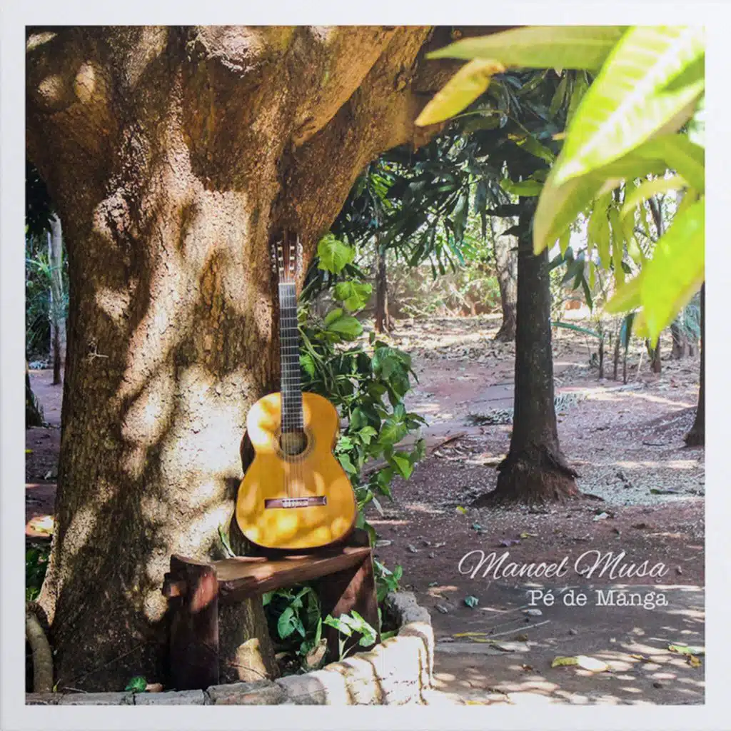 Pé de Manga