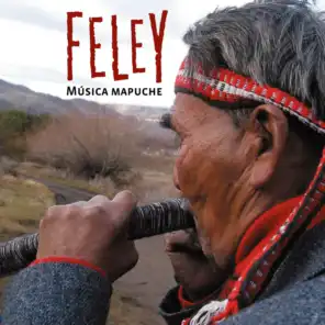 Feley - Música Mapuche