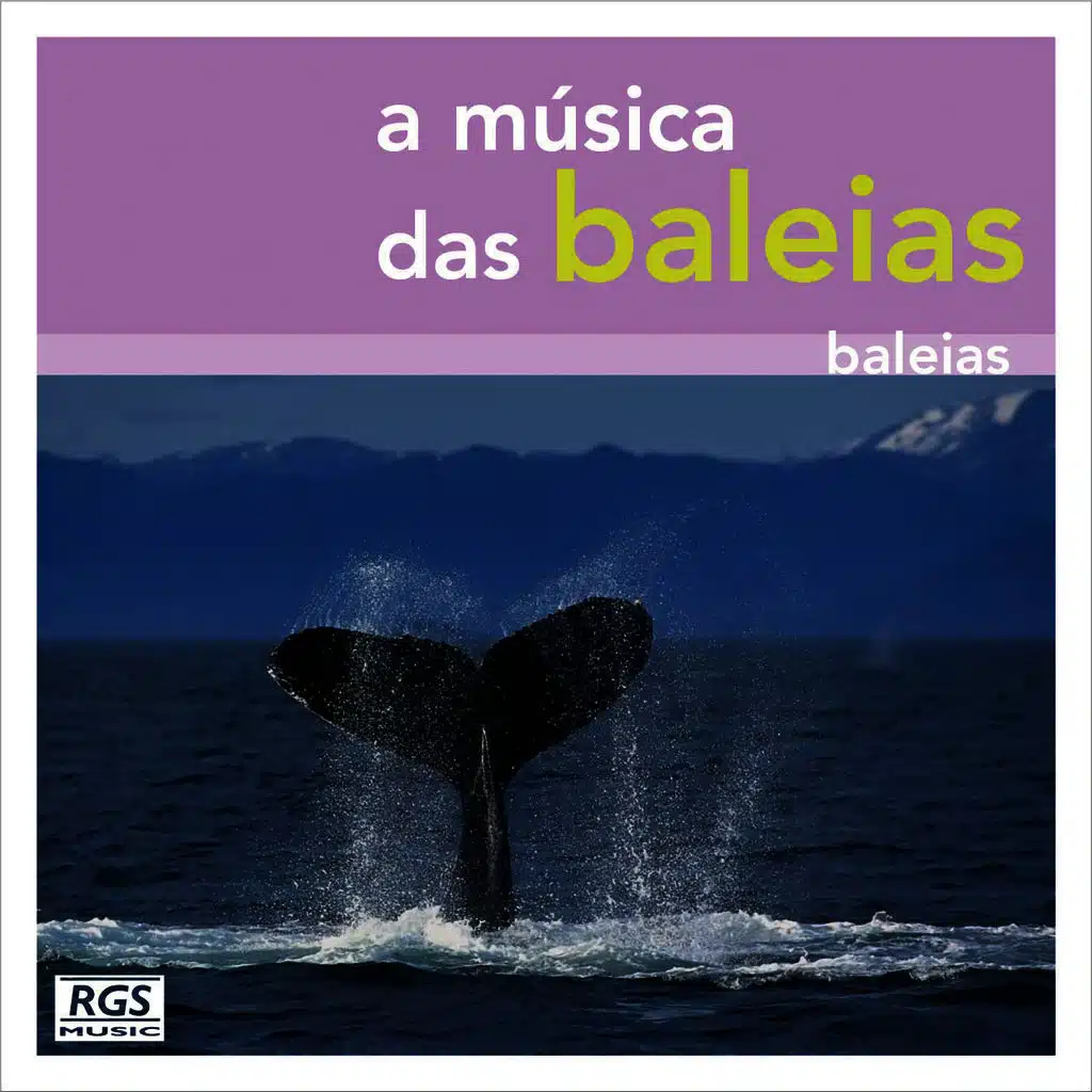 A Música Das Baleias