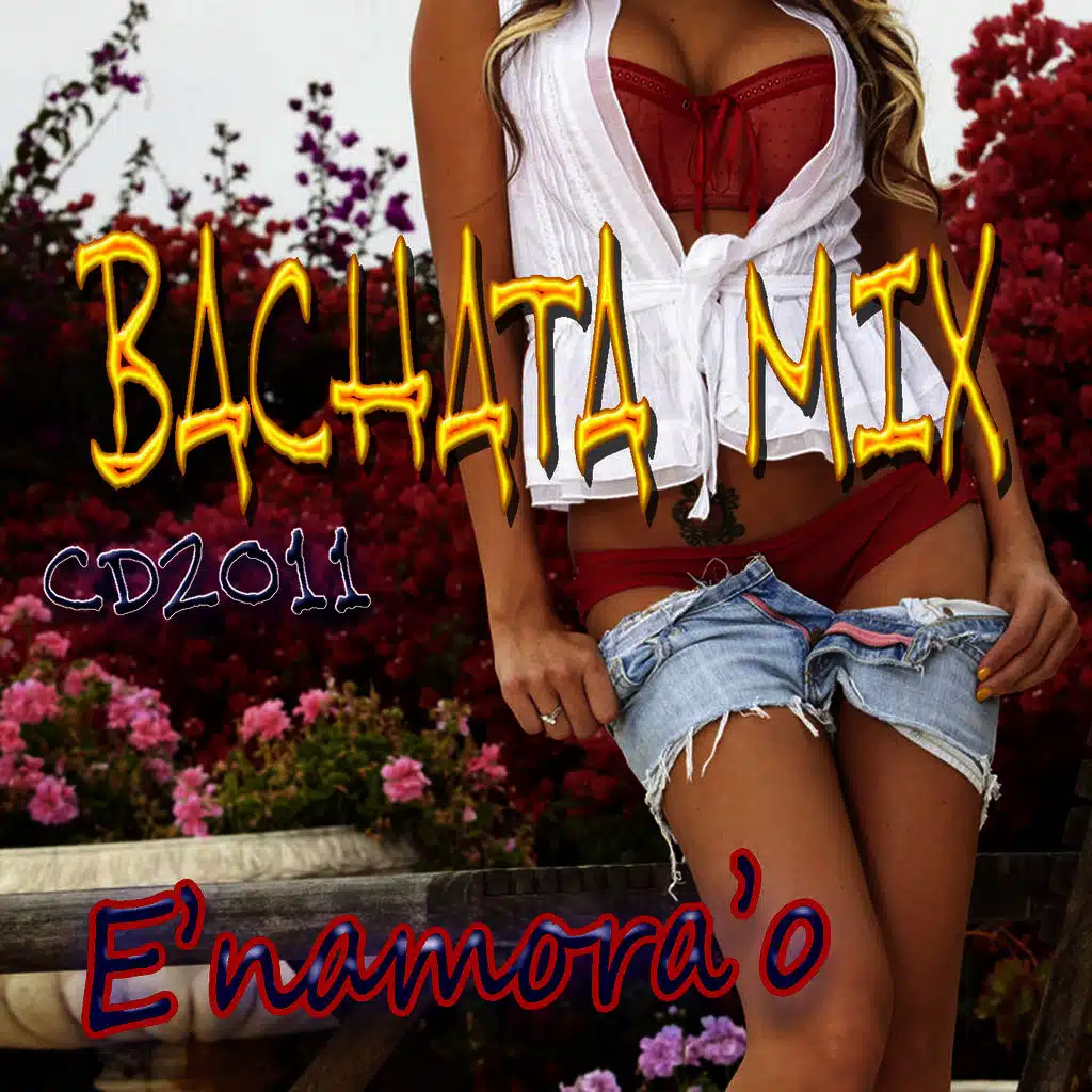 Pure Dominican Bachata Hitz 2011