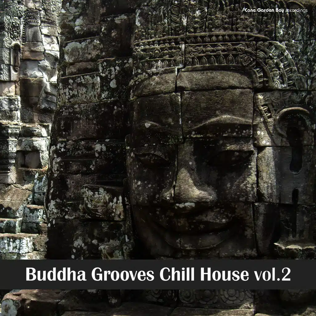 Estranha (ft. Adriana Macedo )