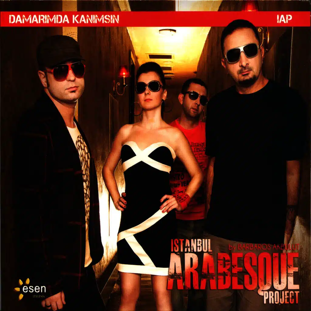 Damarımda Kanımsın