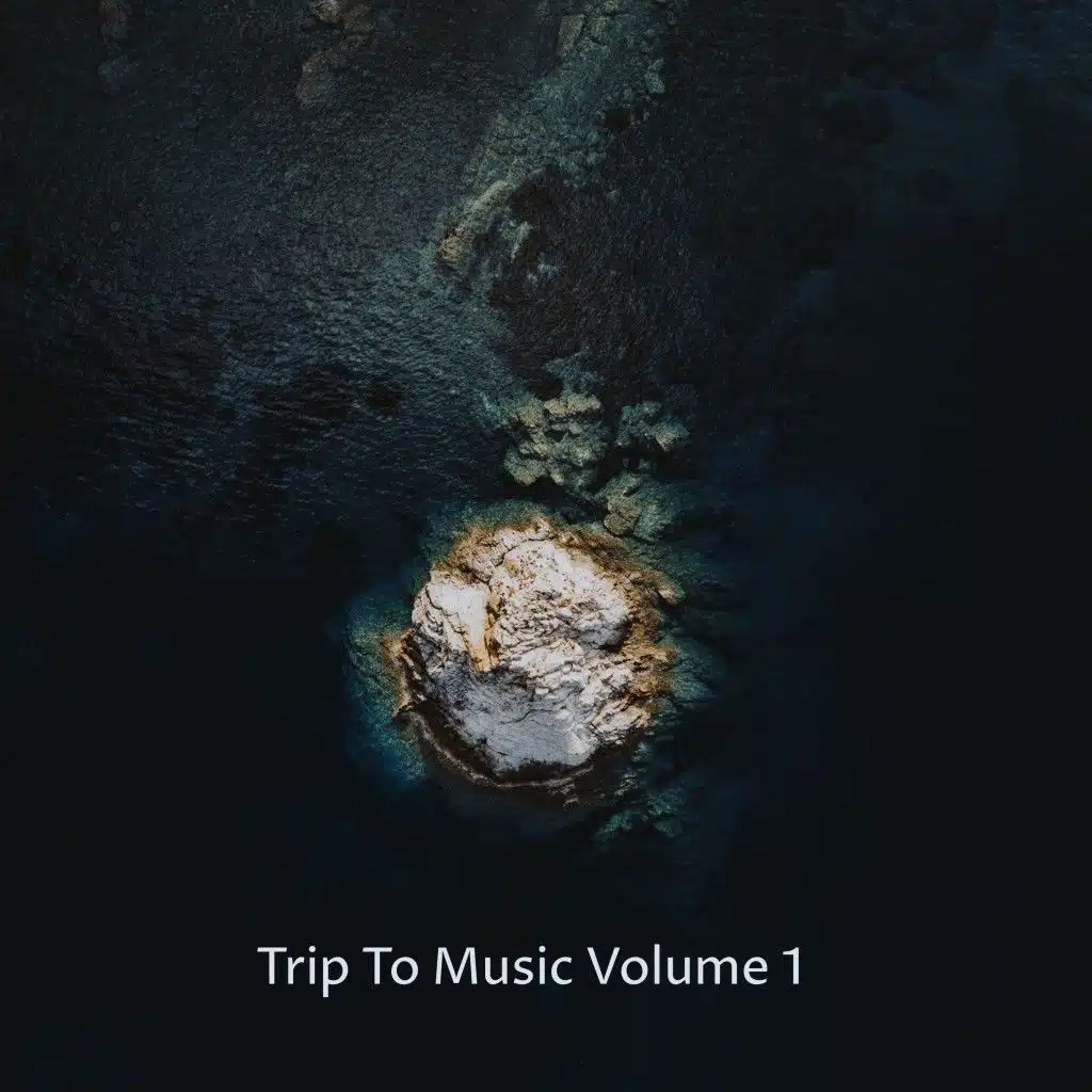 Trip to Music, Vol. 1