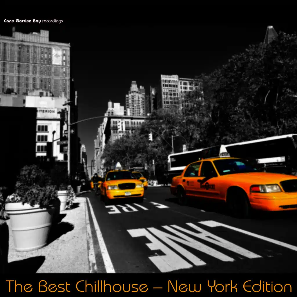 The Best Chillhouse - New York Edition 