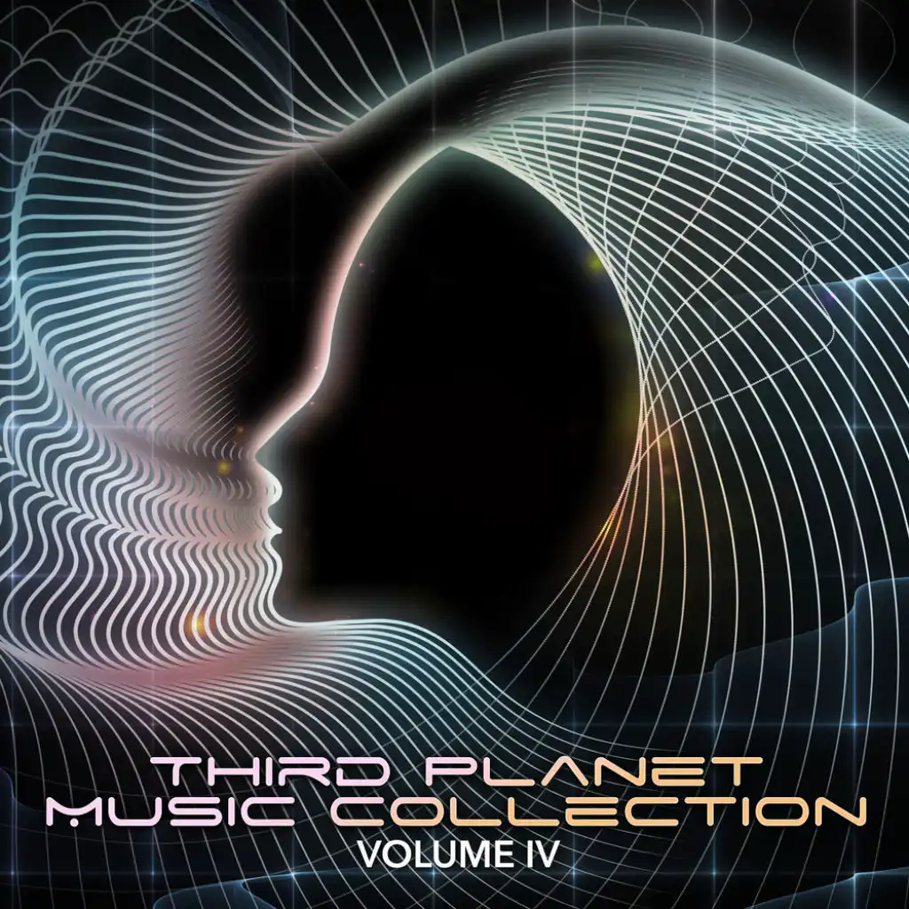 Third Planet Music Collection, Vol. 4