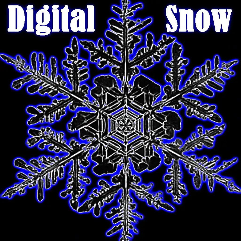 Digital Snow