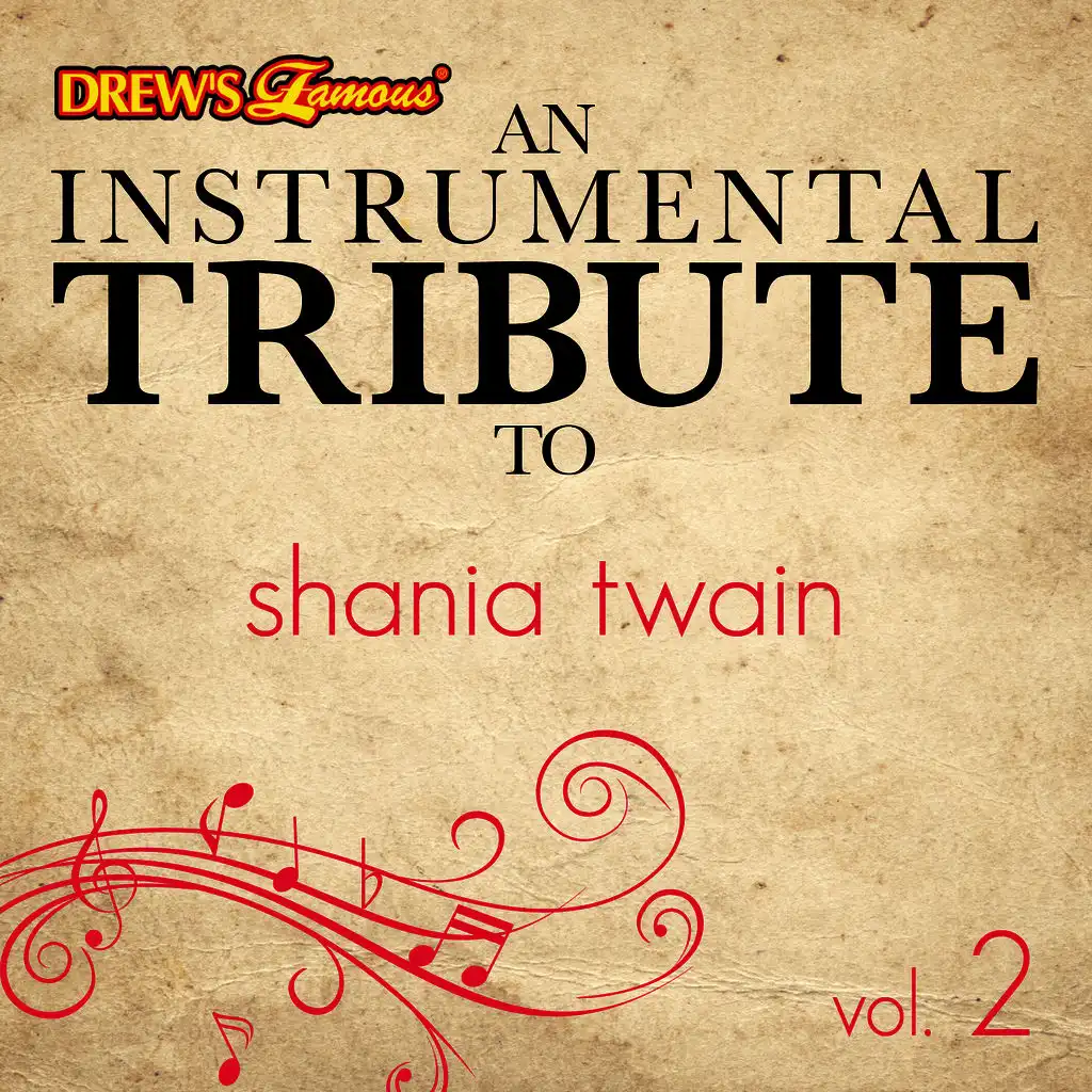 An Instrumental Tribute to Shania Twain, Vol. 2