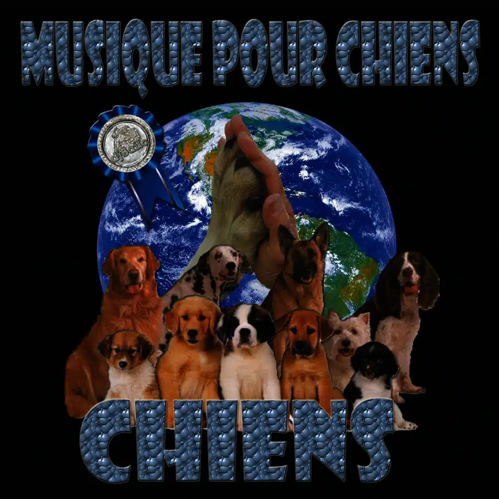 Musique pour chiens: Chiens